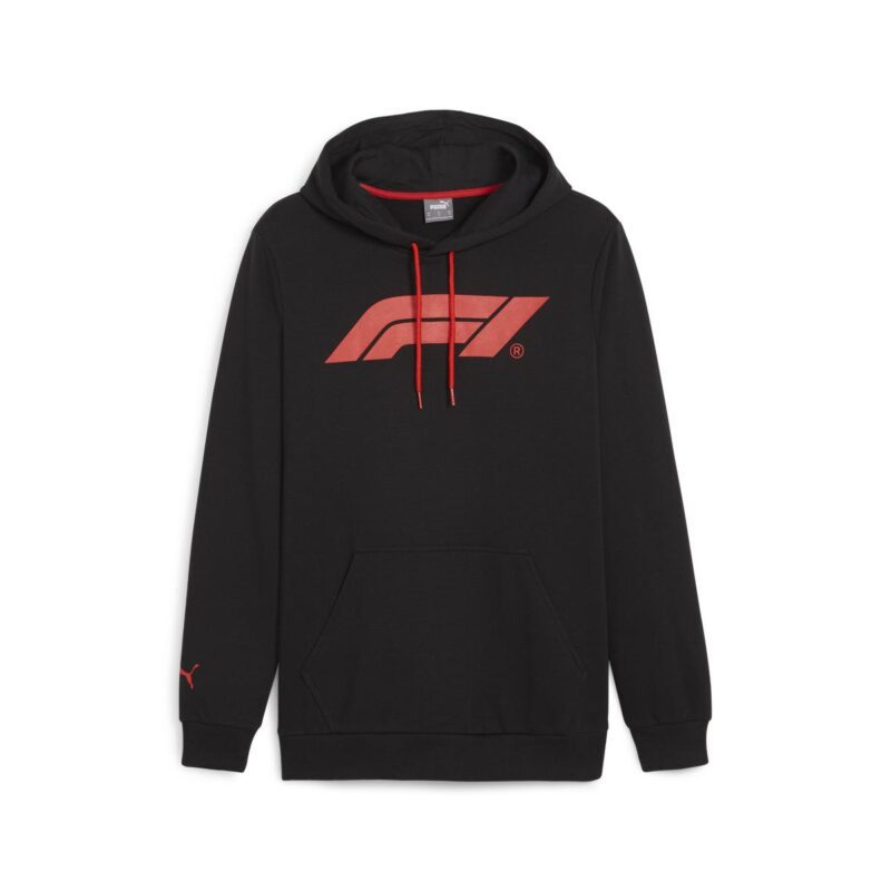 F1 ESS LOGO HOODY